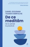 De ce meditam. De la stiinta la practica - Curtea Veche