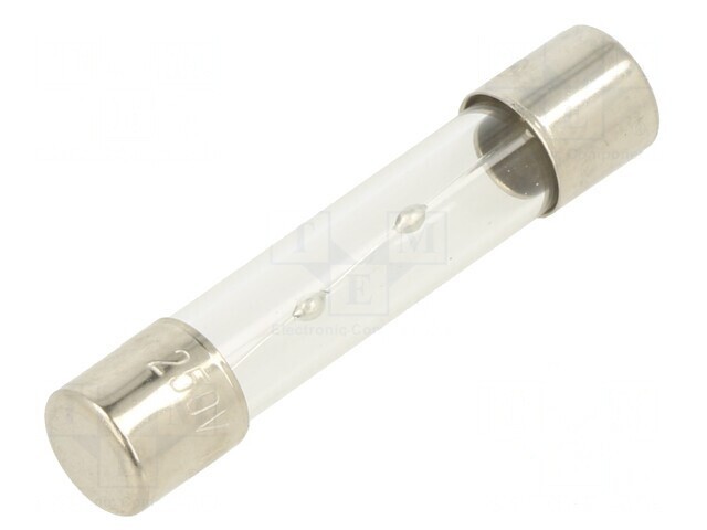 Siguranță &Icirc;nt&acirc;rziere 10A 250V Sticlă 6.3x32mm