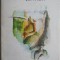 Intre doua tarmuri &ndash; Henry James