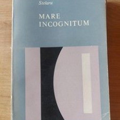 Mare incognitum- Dimitrie Stelaru