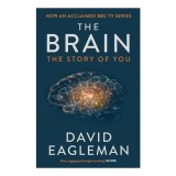 The Brain: The Story of You