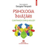 Psihologia invatarii. Cum invata copiii si adultii?, Georgeta Panisoara (coordonator)