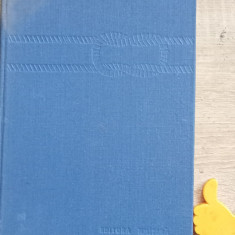 Dictionar de marina A. Bejan, M. Bujenita