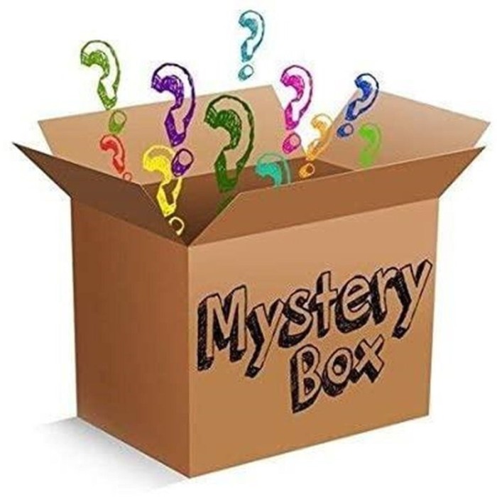 Mistery Box pentru EL 300 Medium - Large