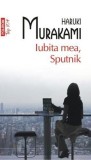 Iubita mea Sputnik - Editura Polirom