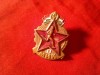 Insigna Ungaria Sport - 1950 Locul I , prindere defecta , h=3,2cm