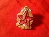 Insigna Ungaria Sport - 1950 Locul I , prindere defecta , h=3,2cm