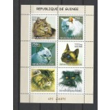 GUINEA 2002 FAUNA ANIMALE DOMESTICE PISICI