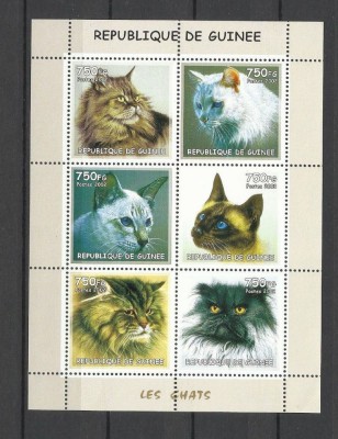 GUINEA 2002 FAUNA ANIMALE DOMESTICE PISICI foto