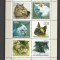 GUINEA 2002 FAUNA ANIMALE DOMESTICE PISICI