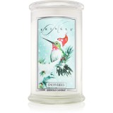 Kringle Candle Snowbird lum&acirc;nare parfumată 624 g