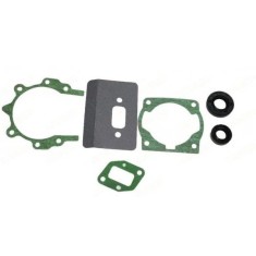 Garnituri motocoasa + simeringuri (set) TL 52