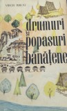 DRUMURI SI POPASURI BANATENE VIRGIL BIROU BANAT