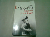 FOTOGRAFUL CURTII REGALE - SIMONA ANTONESCU