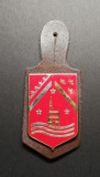 Insigna Militara Regimentala Regiment Franța Delsart G 4176