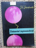 Trasnetul Ingenuncheat - J. L. Jakubowski