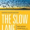 The Slow Lane: Why Quick Fixes Fail and How to Achieve Real Change
