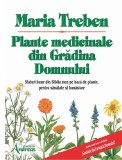 Plante medicinale din Gradina Domnului - Andreas
