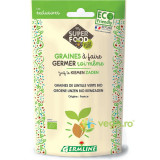 Seminte de Linte Verde pentru Germinat Ecologice/Bio 150g