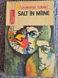 Laurentiu Cernet - Salt &icirc;n m&icirc;ine, 1984, 206 pagini, stare buna