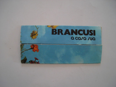 Brancusi a casa sua - pliant comunist limba italiana operele lui Brancusi foto