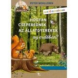 Hogyan cseperednek az &aacute;llatgyerekek az erdőben? - Peter Wohlleben