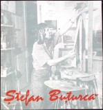 STEFAN BUTURCA - PICTURA---347388