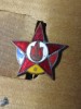 Insigne (3) AVSAP RPR