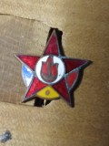 Insigne (3) AVSAP RPR