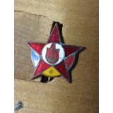Insigne (3) AVSAP RPR