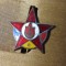 Insigne (3) AVSAP RPR