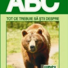 ABC tot ce trebuie sa stii despre ursi
