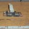 Port Usb Laptop Acer Aspire ES1-511