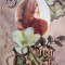 Sanctuarul - Nora Roberts