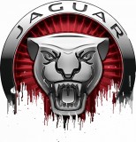 Cumpara ieftin Sticker Jaguar Regenerated