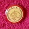 Insigna fotbal - AJAX AMSTERDAM (Olanda)