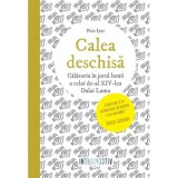 Calea deschisa. Calatoria in jurul lumii a celui de-al XIV-lea Dalai Lama - Pico Iyer