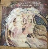 Vinil 6 Vinyl Electrecord - Floare de Soare