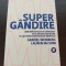 Gabriel Weinberg - Supergandire