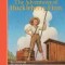 The Adventures of Huckleberry Finn