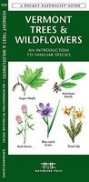 Vermont Trees &amp;amp; Wildflowers: An Introduction to Familiar Species foto