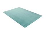 Cumpara ieftin Covor Heinner Shaggy soft blanita Turcoaz 160x230 cm