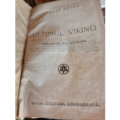 ULTIMUL VIKING - JOHAN BOJER