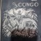O calatorie in Congo - Andre Gide