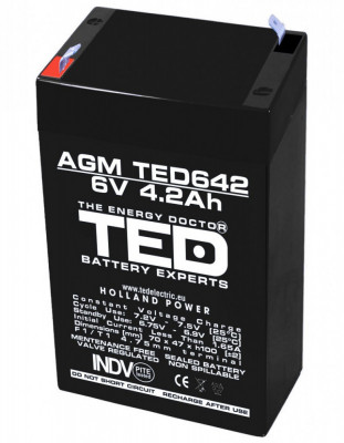Acumulator AGM VRLA 6V 4,2A dimensiuni 70mm x 48mm x h 101mm F1 TED Battery Expert Holland TED002914 (20) SafetyGuard Surveillance foto