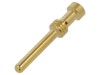 Conector pin tată aurit, 16A