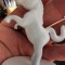 Statueta din metal cal alb inorog unicorn inaltime 10 cm
