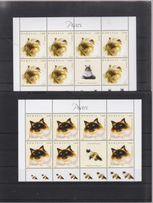 ROMANIA 2006 PISICI Set 6 Minicoli cu cate 7 Tb, o vinieta si Tabsuri LP1707a foto