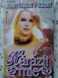HARAZIT MIE-JOAN ELLIOTT PICKART-230527