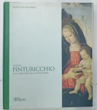 STUDI SUL PINTURICCHIO DALLE PRIME PROVE ALLA CAPPELLA SISTINA di FRANCO IVAN NUCCIARELLI , 1998 * TEXT IN LIMBA ITALIANA , * BOGAT ILUSTRATA